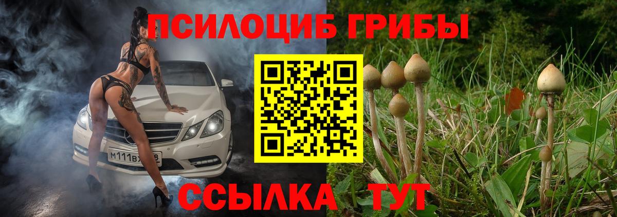 Октябрьский  Галлюциногенные грибы GOLDEN TEACHER  Вход с VPN 