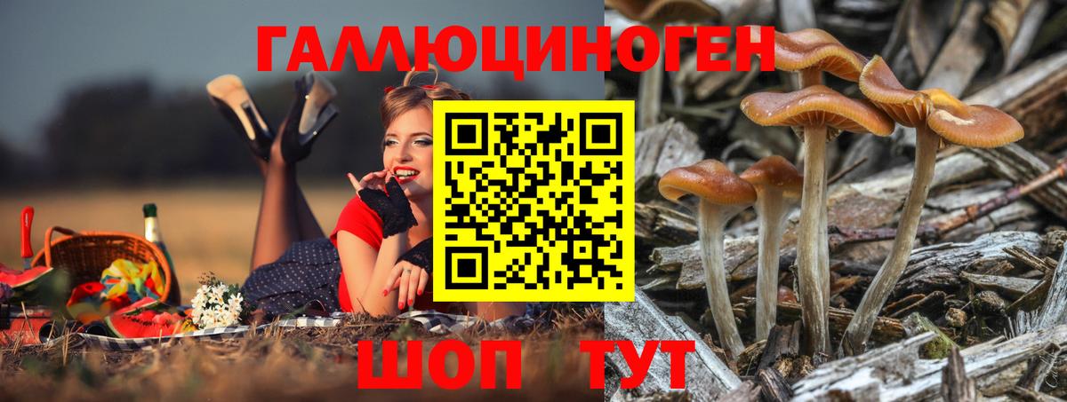 Галлюциногенные грибы прущие грибы Октябрьский